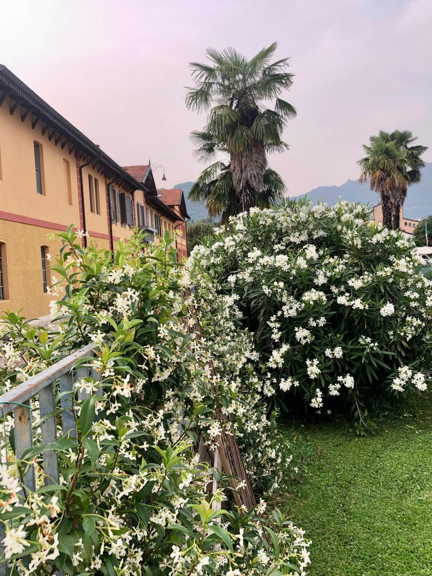 Roggia Maestra B&B Schio Extérieur photo